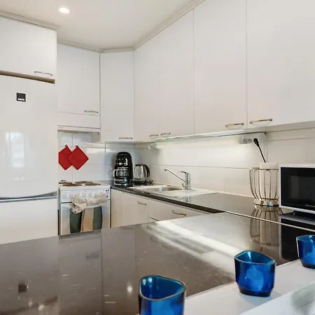 Center Free Parking By Lapland Host Apartament *